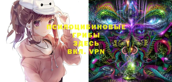 2c-b Беломорск