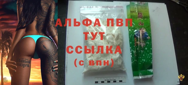 гидра Белокуриха