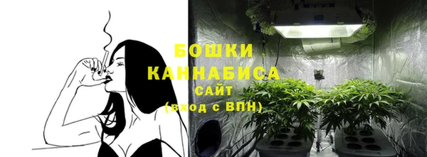 гидра Белокуриха