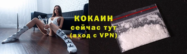 гидра Белокуриха