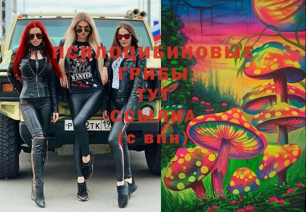 2c-b Беломорск